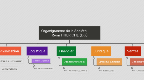 Mind Map: Organigramme de la Société Rémi THIERICHE (DG)