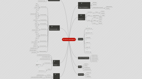 Mind Map: Sensación y percepcion