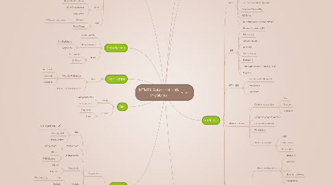 Mind Map: MTHFR Related Health Problems