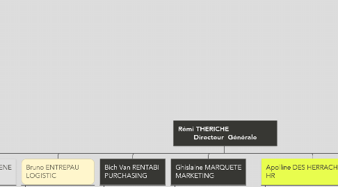 Mind Map: Rémi THERICHE                      Directeur  Générale