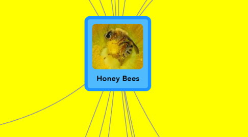 Mind Map: Honey Bees