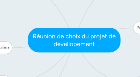 Mind Map: Réunion de choix du projet de dévellopement