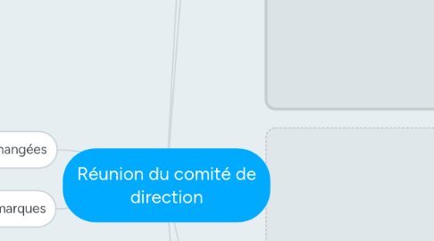 Mind Map: Réunion du comité de direction