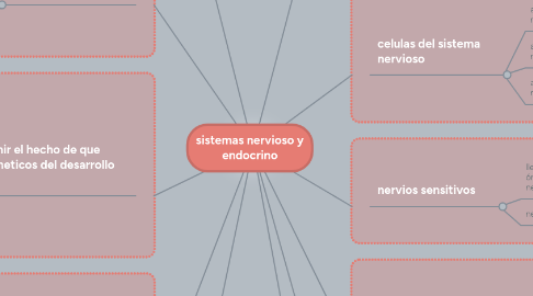 Mind Map: sistemas nervioso y endocrino