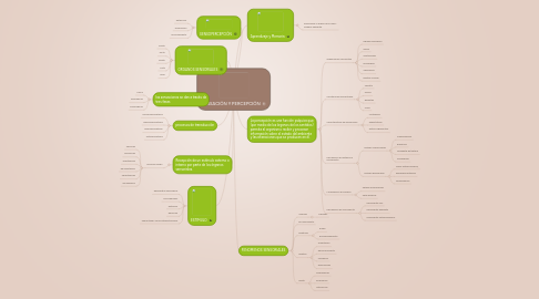 Mind Map: SENSACIÓN Y PERCEPCIÓN