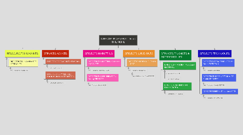 Mind Map: DIRECTEUR GENERAL : Remi THIERICHE