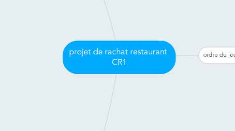 Mind Map: projet de rachat restaurant  CR1