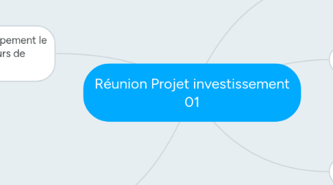 Mind Map: Réunion Projet investissement 01