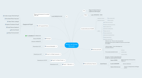 Mind Map: Réunion de Pilotage Mensuelle