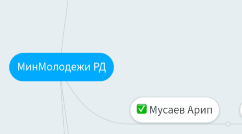 Mind Map: МинМолодежи РД