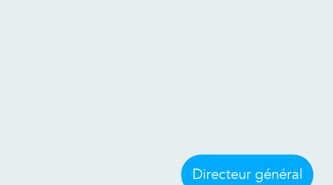 Mind Map: Directeur général