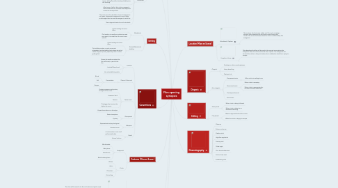 Mind Map: Film opening synopsis