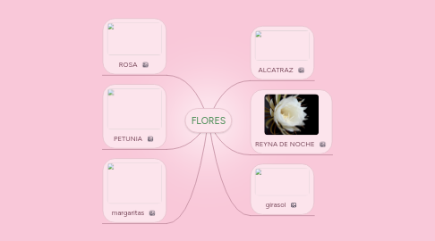 Mind Map: FLORES