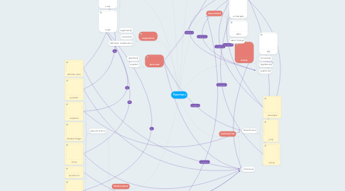 Mind Map: Functions