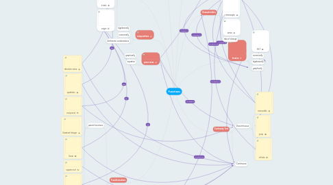 Mind Map: Functions