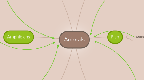 Mind Map: Animals