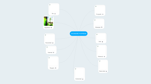 Mind Map: DIGNIDAD HUMANA