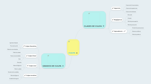 Mind Map: CULPA