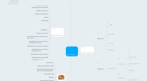 Mind Map: Talento Humano