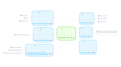 Mind Map: Educación vial: