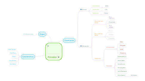 Mind Map: Primates