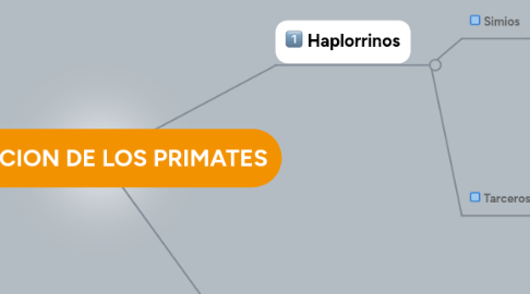 Mind Map: EVOLUCION DE LOS PRIMATES