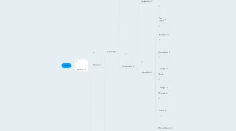 Mind Map: Primates