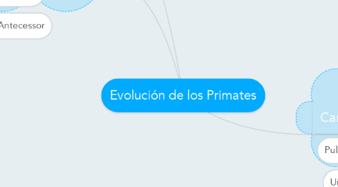 Mind Map: Evolución de los Primates