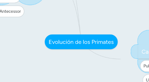 Mind Map: Evolución de los Primates