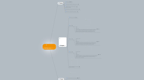 Mind Map: SPARTAN RACE