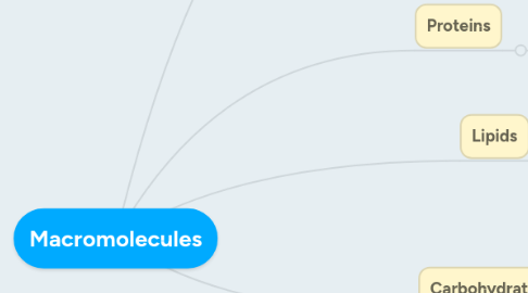 Mind Map: Macromolecules