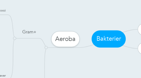 Mind Map: Bakterier