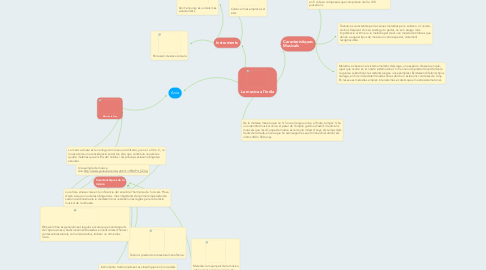 Mind Map: Asia