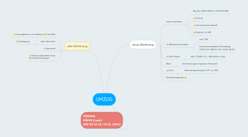 Mind Map: UMZUG