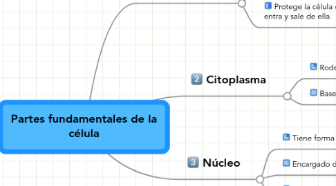 Mind Map: Partes fundamentales de la célula