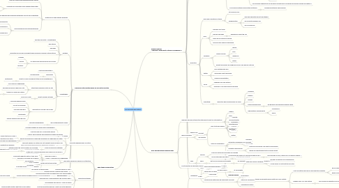 Mind Map: à la rencontre des auteurs