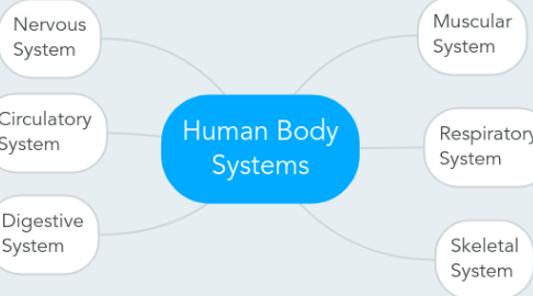 Mind Map: Human Body Systems