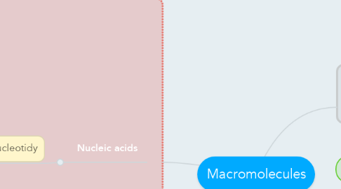 Mind Map: Macromolecules
