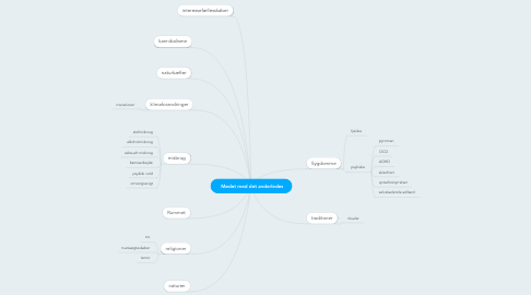 Mind Map: Mødet med det anderledes