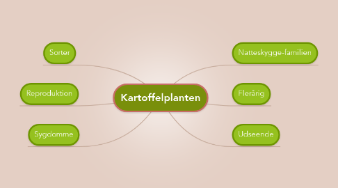 Mind Map: Kartoffelplanten