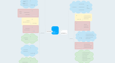 Mind Map: REINO ANIMAL