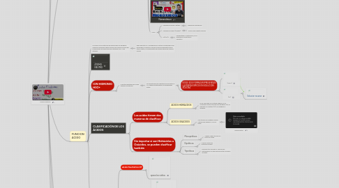 Mind Map: Función Química