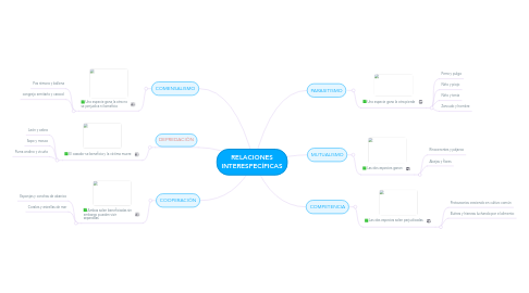 Mind Map: RELACIONES INTERESPECÍFICAS