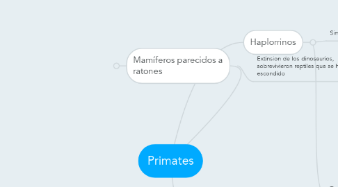 Mind Map: Primates