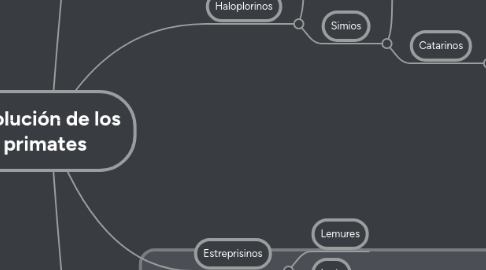 Mind Map: Evolución de los primates