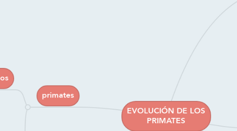 Mind Map: EVOLUCIÓN DE LOS PRIMATES