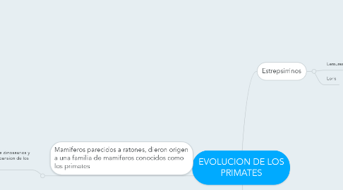 Mind Map: EVOLUCION DE LOS PRIMATES