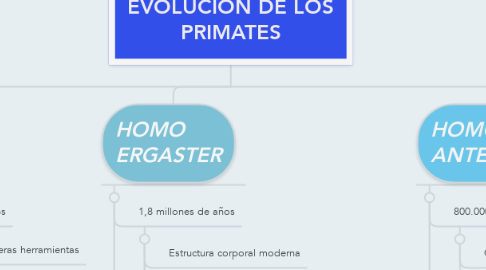 Mind Map: EVOLUCION DE LOS PRIMATES
