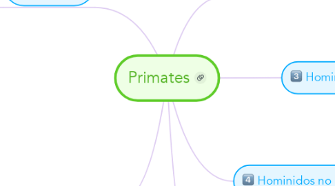 Mind Map: Primates