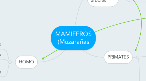 Mind Map: MAMIFEROS (Muzarañas